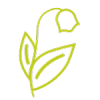 gardening services gardening services